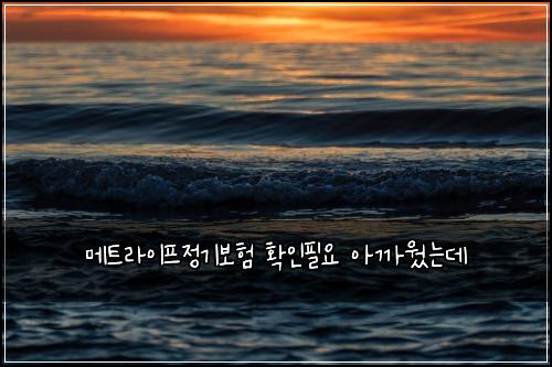 메트라이프정기보험 확인필요  아까웠는데