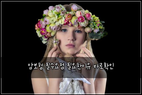 암보험 필수요점  필요한이유 바로확인