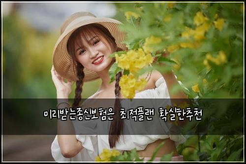 미리받는종신보험은 최적플랜 확실한추천