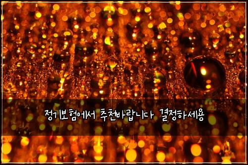 정기보험에서 추천바랍니다 결정하세용