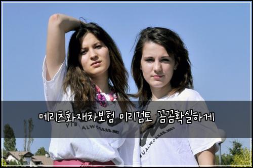 메리츠화재차보험 미리검토  꼼꼼확실하게
