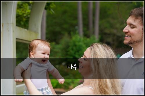 나무