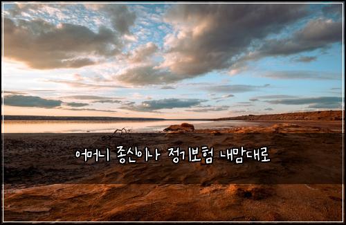 어머니 종신이나 정기보험 내맘대로 