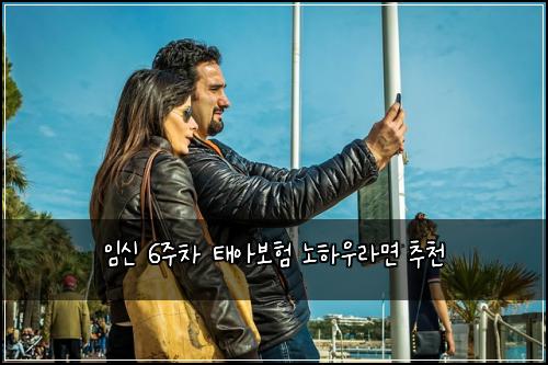 임신 6주차 태아보험 노하우라면  추천