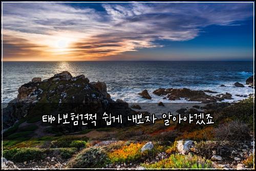 태아보험견적 쉽게 내보자 알아야겠죠