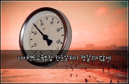 다이렉트교육보험 한눈살피기  헷갈리지않게