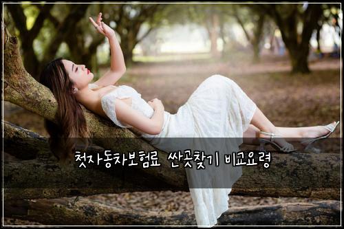 첫자동차보험료 싼곳찾기 비교요령