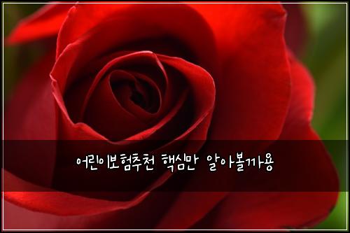 어린이보험추천 핵심만 알아볼까용