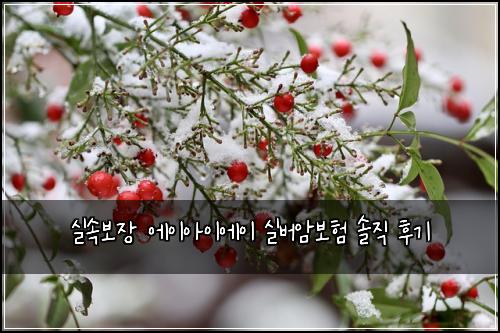 실속보장 에이아이에이 실버암보험 솔직 후기