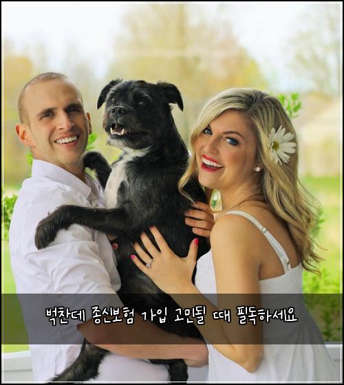 벅찬데 종신보험 가입 고민될 때 필독하세요