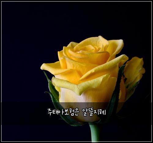 주태아보험은 알뜰지혜