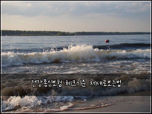건강종신보험 체크기준  제대로보는법