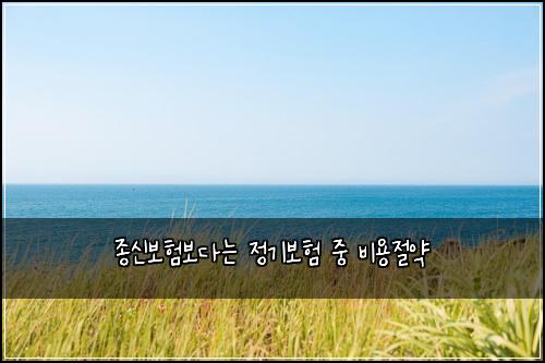 종신보험보다는 정기보험 중 비용절약