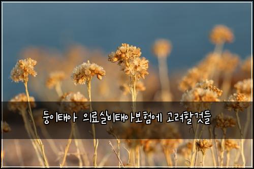 둥이태아 의료실비태아보험에 고려할것들