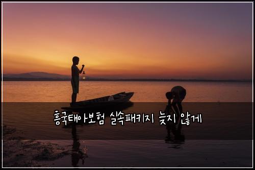 흥국태아보험 실속패키지  늦지 않게