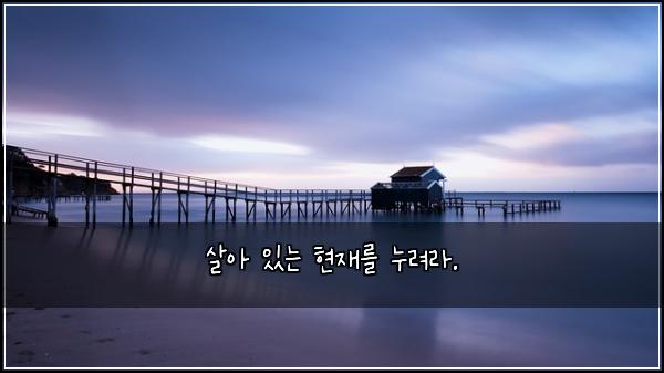 살아 있는 현재를 누려라.