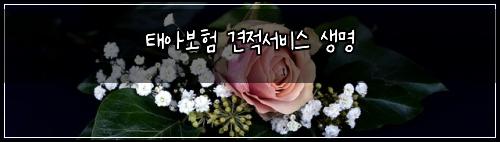 태아보험 견적서비스  생명