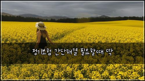 정기보험 간단해결  필요할때 딱