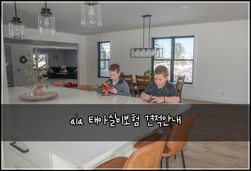 aia 태아실비보험 견적안내 