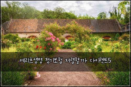 메리츠생명 정기보험 저렴할까  다이렉트5