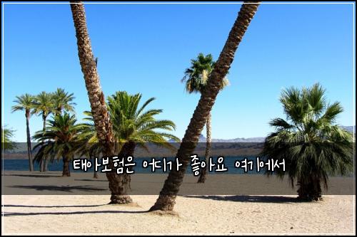 ํ์๋ณดํ์ ์ด๋๊ฐ ์ข์์ ์ฌ๊ธฐ์์