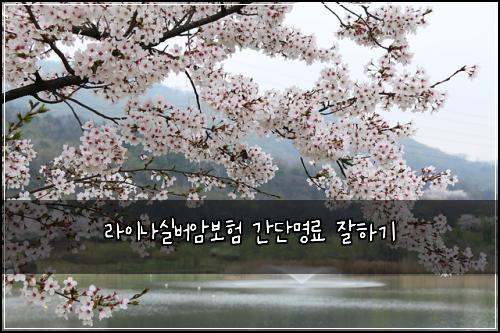 라이나실버암보험 간단명료  잘하기