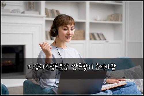 자동차보험료분납 싼곳찾기 준비바람