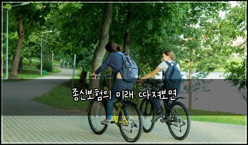 종신보험의 미래 따져보면