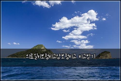 의료실비보험비교암보험비교 비교받기