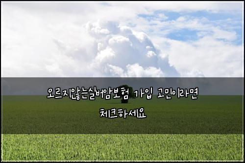 오르지않는실버암보험 가입 고민이라면 체크하세요