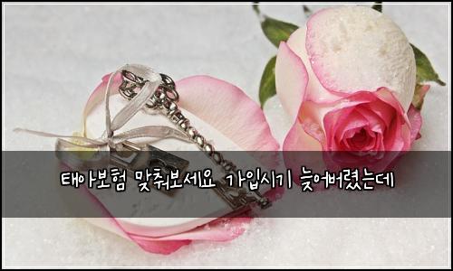 태아보험 맞춰보세요  가입시기 늦어버렸는데