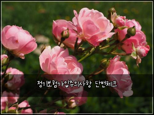 정기보험가입주의사항 단번체크