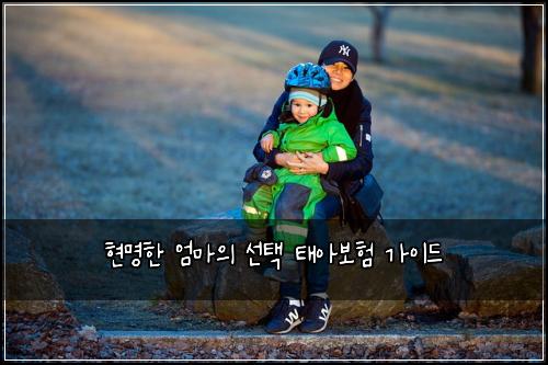 현명한 엄마의 선택 태아보험 가이드