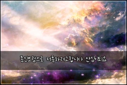 종신보험으로 저축하려고합니다 안심이되요