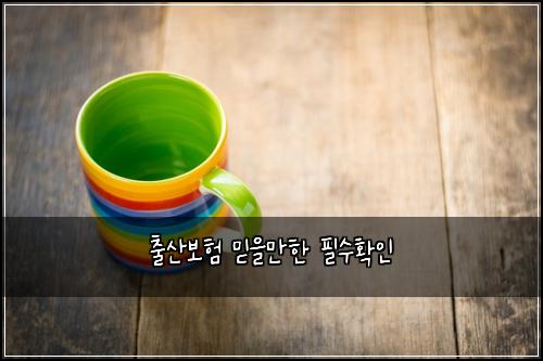 출산보험 믿을만한  필수확인