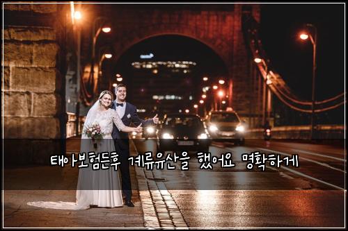 태아보험든후 계류유산을 했어요 명확하게