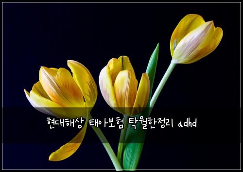 현대해상 태아보험 탁월한정리  adhd