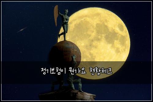 정기보험이 뭔가요 현황체크