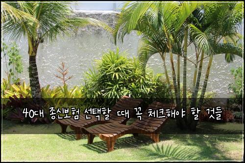 40대 종신보험 선택할 때 꼭 체크해야 할 것들