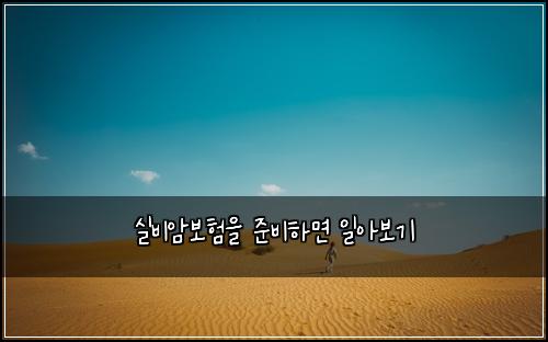 실비암보험을 준비하면 일아보기