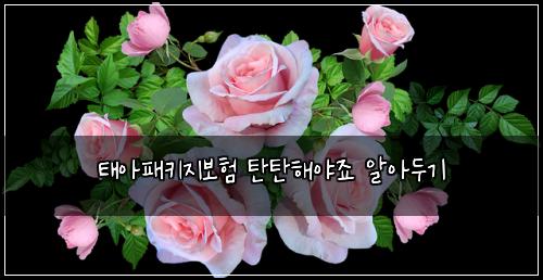 태아패키지보험 탄탄해야죠  알아두기