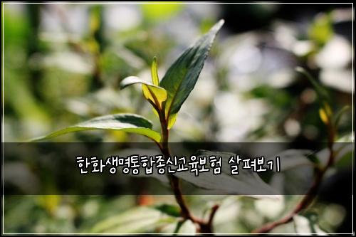 한화생명통합종신교육보험 살펴보기