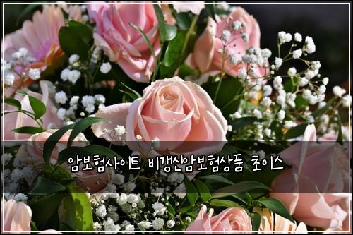 암보험사이트 비갱신암보험상품 초이스