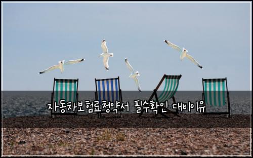 μλ차보νλ£μ²μ½μ νμνμΈ λλΉμ΄μ