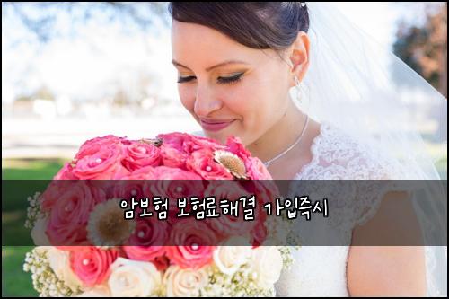 암보험 보험료해결  가입즉시