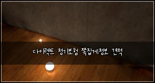 다이렉트 정기보험 쪽집게정보  견적