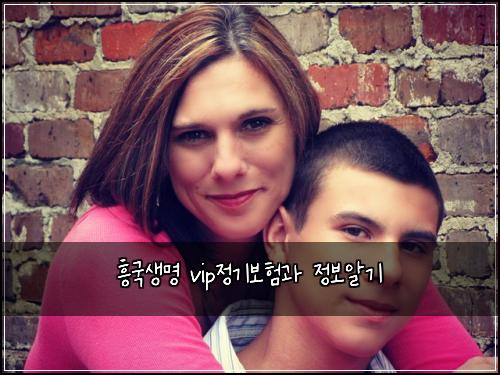 흥국생명 vip정기보험과 정보알기