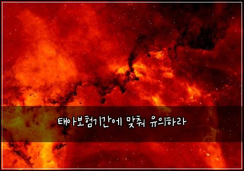 태아보험기간에 맞춰 유의하라