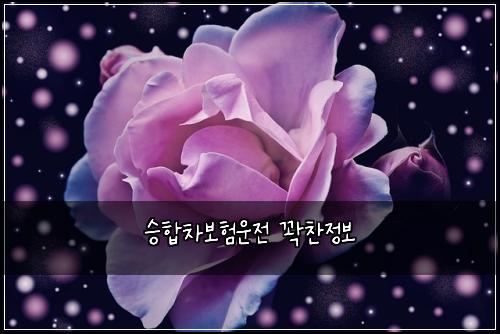 승합차보험운전 꽉찬정보