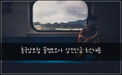 흥국암보험 꿀정보모아  암진단금 최신내용